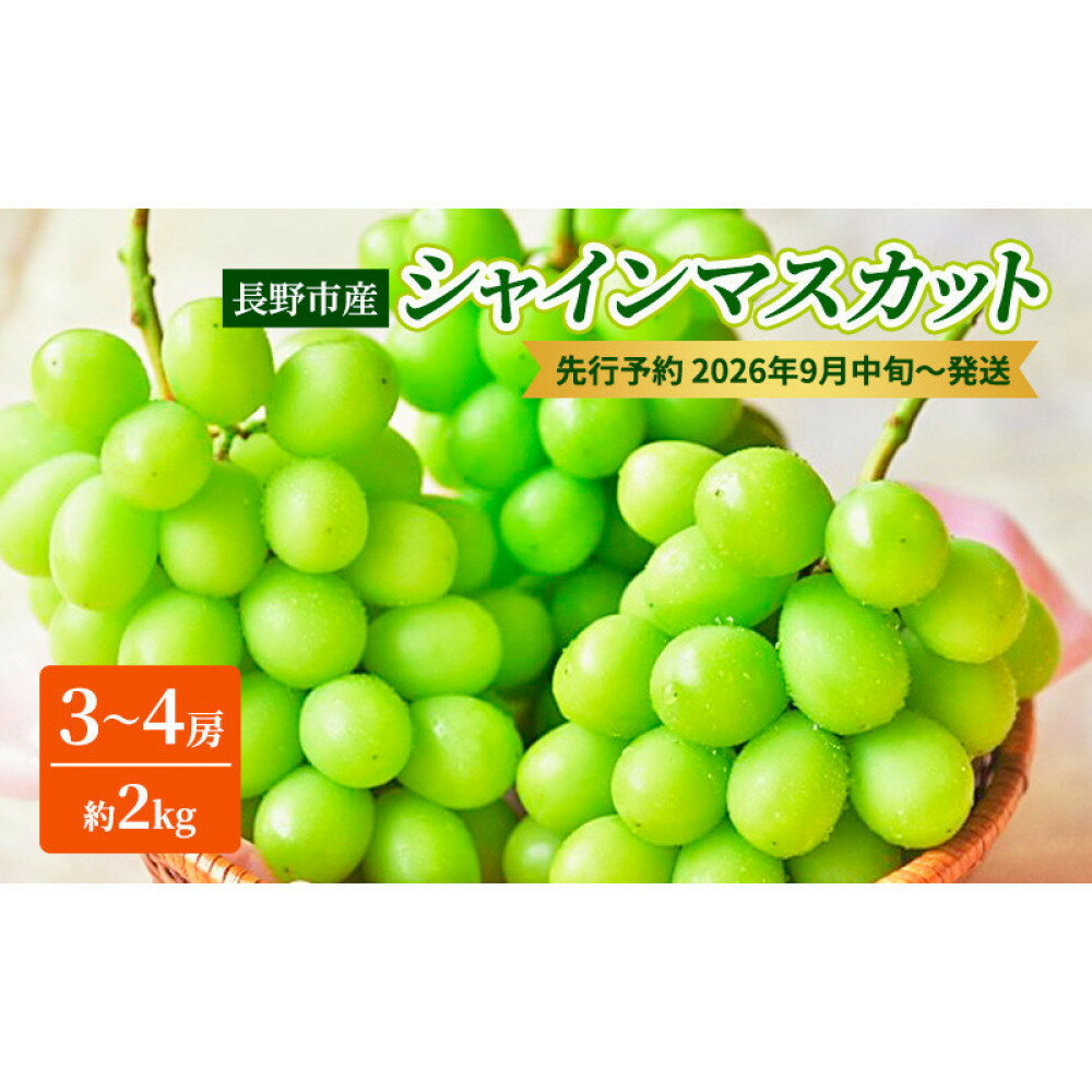【ふるさと納税】本気農場いけだ　長野市産シャインマスカット3～4房（約2kg）【2026年9月中旬以降の出荷分】 | シャインマスカット ぶどう フルーツ 果物 国産 人気 おすすめ ギフト プレゼント 送料無料 長野県 長野市 信州 信濃 ふるさと納税