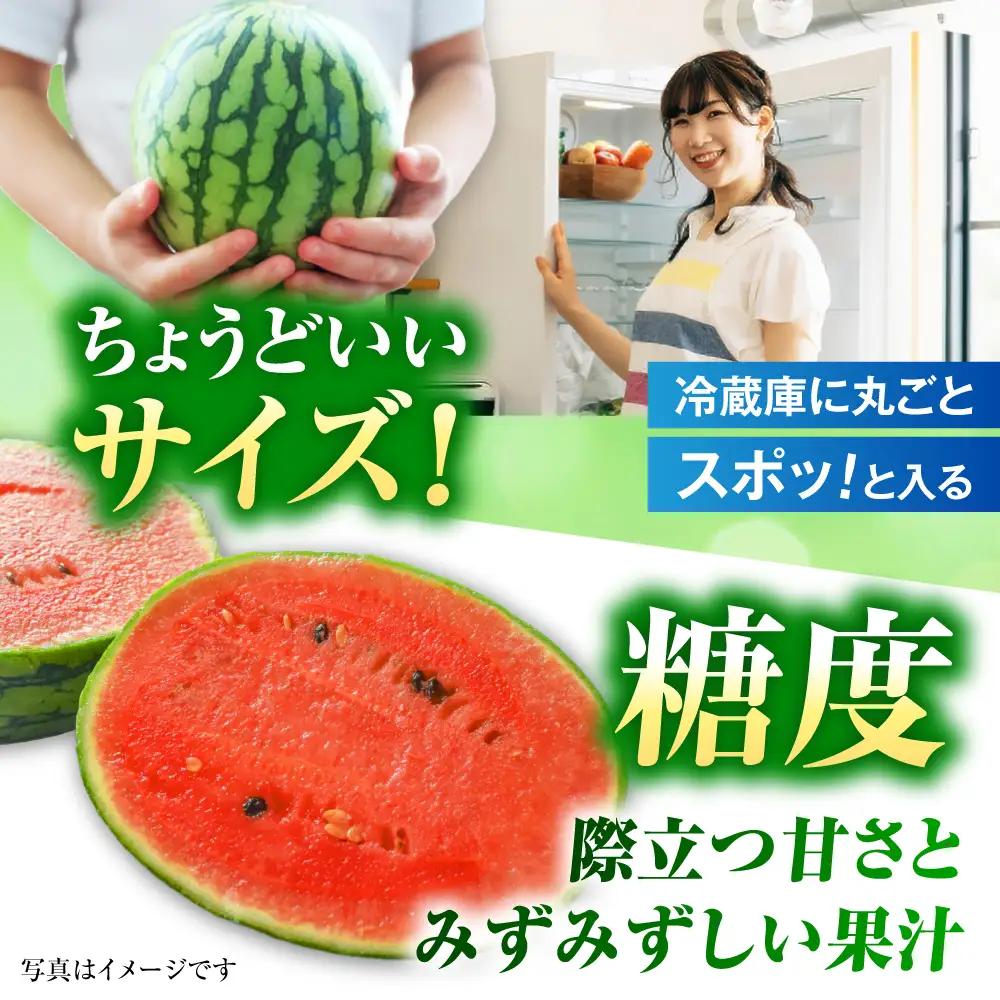【先行予約】【2027年4月中旬より順次発送】小玉すいか 2玉入（1玉 約2.5kgから3kg） スイカ[AYAB056]