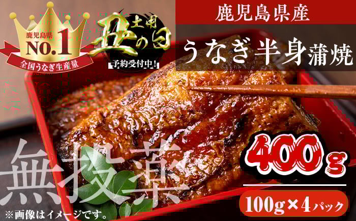 
            ＜丑の日先行予約受付中！＞鹿児島県産うなぎ半身カットセット (100g×4パック、タレ・山椒付き) 鰻 かばやき 冷凍【西日本養鰻】A585-U
          