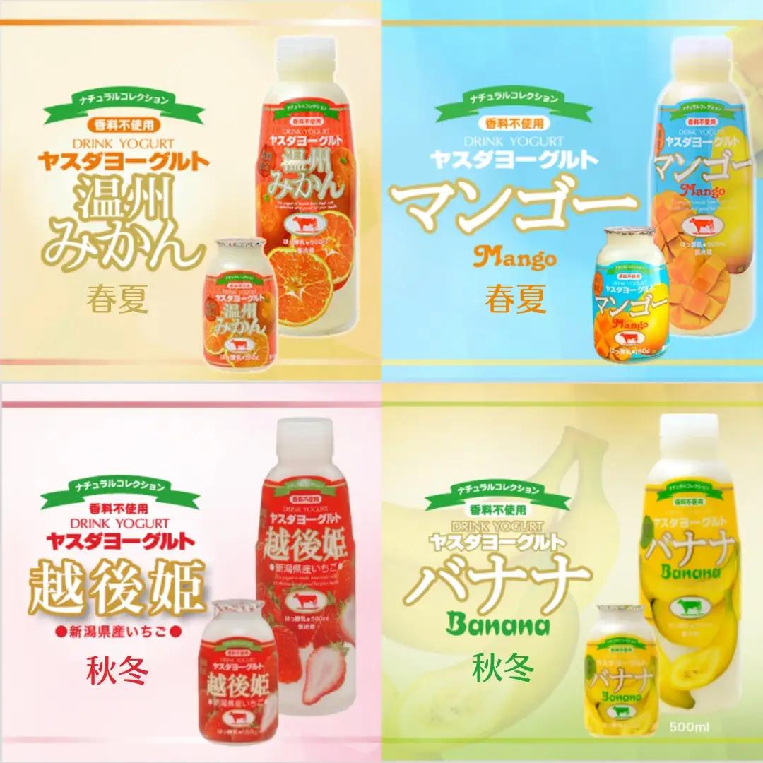【3年連続最高金賞】ヤスダヨーグルト 500ml×6本 バラエティセット 化粧箱 こだわり生乳 新鮮 濃厚 モンドセレクション 飲むヨーグルト のむよーぐると ヨーグルト お歳暮 お中元 母の日 父の