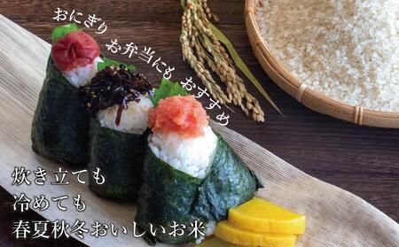 令和7年米 福岡県産 米 金のめし丸元気つくし 5kg | 精米 お米 こめ 白米 ライス ブランド米