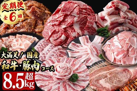 【定期便全6回】大満足！和牛・豚肉定期便(6ヶ月連続・総量8.5kg以上) 黒毛和牛 国産牛 九州産 豚 豚肉 肉 牛肉 国産 しゃぶしゃぶ 豚バラ 切り落し たれ漬け 大容量 人気 4等級 小分け 真空包装 t0088-001