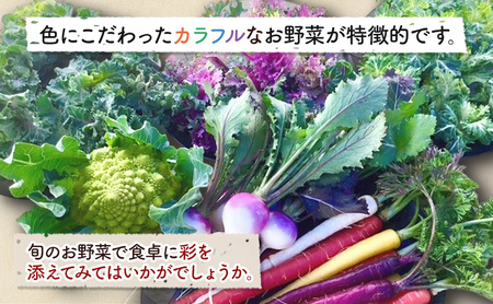旬の野菜セット 6品 野菜 野菜セット 野菜詰め合わせ 詰め合わせ やさい 千葉市 千葉県