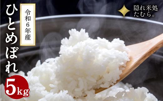 【 令和6年産 】＼緊急入荷・数量限定 9月下旬発送／ 米 田村市産 ひとめぼれ 精米 5kg お米 コメ 白米 おこめ こめ 5キロ ギフト 贈答 プレゼント 福島県 田村市 福島 ふくしま 東北むらせ