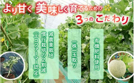 【令和8年産　先行予約】若猪野アールスメロン 1.7kg 以上 2玉 箱入り ※2026年8月下旬より順次発送 [A-011014]