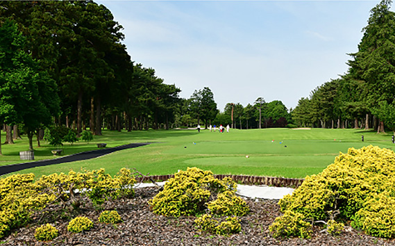 No.102 【会員限定】千葉カントリークラブ施設利用券30000円（利用券3000円×10枚）野田・川間・梅郷コース共通