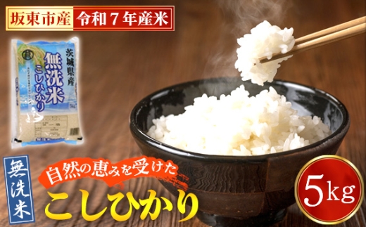 令和7年産　無洗米こしひかり5kg【坂東市産】 ／ 令和7年 新米 米 お米 こめ コメ 無洗米 精米 白米 ご飯 国産米 5kg 5キロ コシヒカリ こしひかり 甘み 粘り 香り ツヤ おすすめ 人気 おいしい 便利 時短 手軽 手間なし 洗わず炊ける お取り寄せ 産地直送 産直 坂東市産 茨城県産 茨城産 茨城県 特産品 No.862
