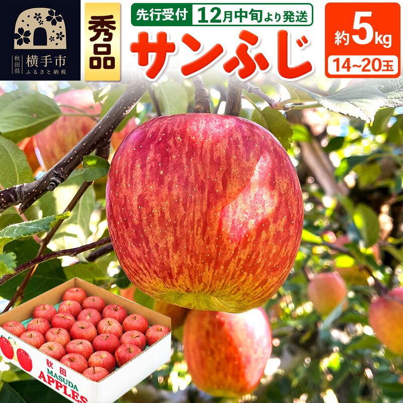 【ふるさと納税】サンふじ【秀品】約5kg（14～20玉）りんご 林檎