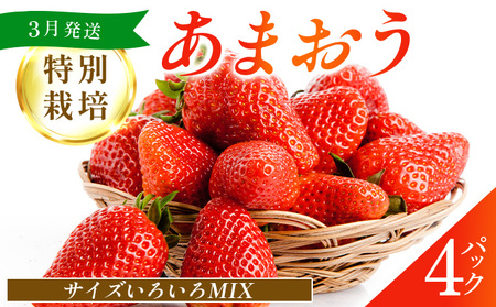 福岡県産 特別栽培 あまおう サイズいろいろMIX 約1140g（約285g×4パック）【3月発送】　農園直送 アフター保証 先行予約 福岡産 送料無料 ケーキ ギフト お祝い 限定 季節限定 UN002
