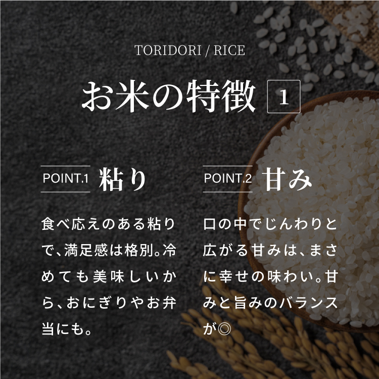 【新米・先行予約】【令和7年産】鳥取県産コシヒカリ 5kg（5kg×1）米 コシヒカリ こしひかり お米 白米 精米 5キロ おこめ こめ コメ 真空パック包装 真空包装 長期保存 単一原料米 鳥取県