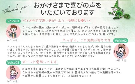 一石二鳥　洗剤+パイプクリーナーの機能可　次世代型環境配慮型洗剤 緑の魔女ランドリー5L×1【洗濯洗剤 液体洗剤 洗剤 洗濯 液体 ドラム式 エコ 環境 大容量 洗濯洗剤 液体洗剤 洗剤 洗濯 液体 