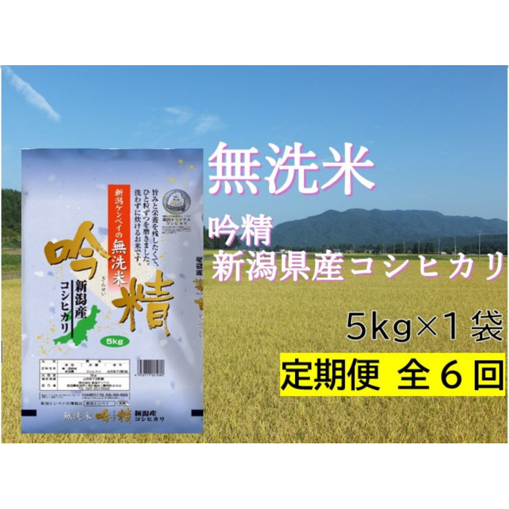 【定期便：全6回お届け】【無洗米吟精】　新潟県産コシヒカリ5Kg