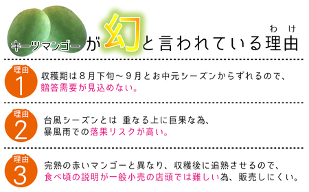 マンゴー【2026年発送先行予約】キーツマンゴー優品1.5kg以上