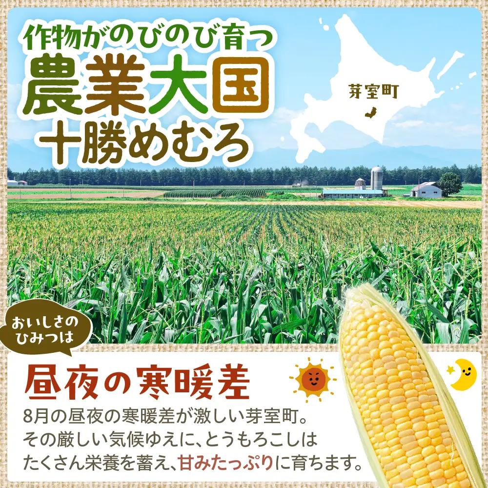 とうもろこし 北海道十勝芽室町 とうもろこし 20本 スイートコーン