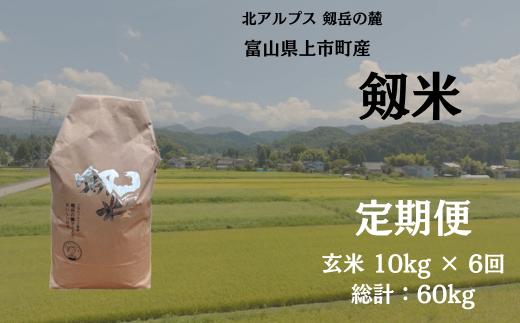 【毎月1回お届け】【定期便】【令和7年産】上市町産コシヒカリ「剱米」（玄米）10kg x 6回 計60kg　 [ソムリエH 富山県 上市町 32280253-r6-04】 米 ６ヶ月 6回定期便 定期購入 お米 コメ ご飯 ごはん 玄米ご飯 玄米ごはん こしひかり