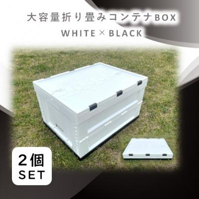 ふるさと納税 木曽岬町 折畳式コンテナBOX ホワイト×ブラック 2個SET