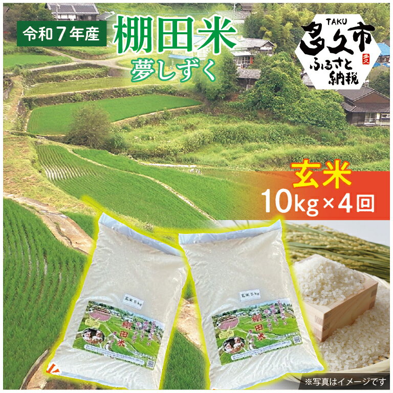 【ふるさと納税】【令和7年産】 定期便 棚田米 夢しずく 玄米 10kg×4回 計 40kg ひらの棚田米 | 玄米 10キロ 4回 計 40キロ お米 こめ コメ 米 ごはん _p-6