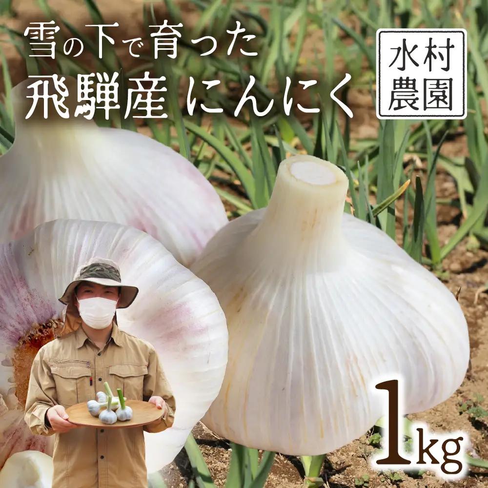 飛騨産 にんにく 1kg ニンニク【7月中旬から12月発送】水村農園