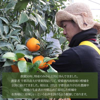 ふるさと納税 西予市 <愛媛県西予市産 訳ありレモン 約7kg> ワケアリ 家庭用 ご自宅用 れもん 檸檬 柑橘 果物 |  | 02