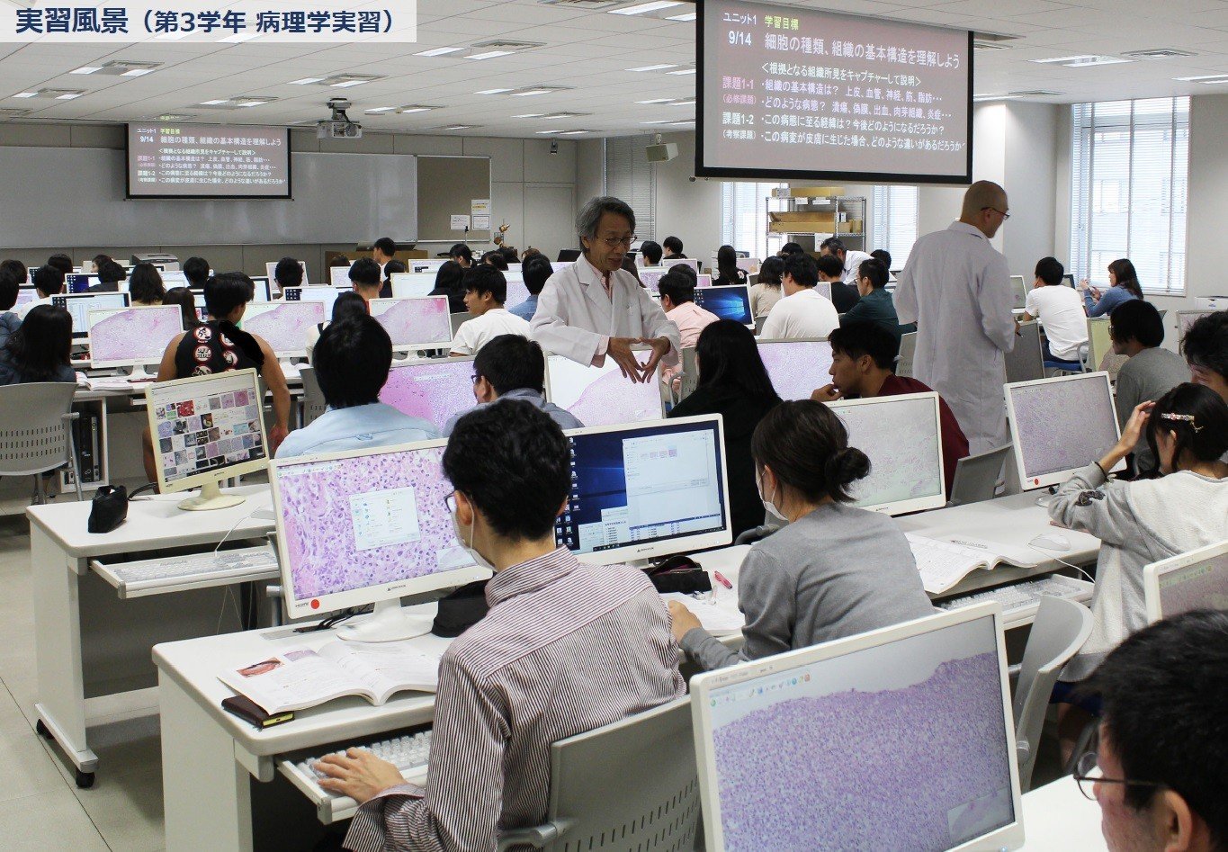 
            【返礼品なし】日本歯科大学生命歯学部への応援寄附 ホームタウンちよだ応援 
          
