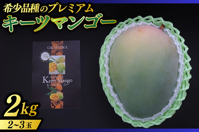 
            【2026年8月より順次発送】稀少プレミアム！！豊見城市産キーツマンゴー 約2kg(2〜3玉)｜マンゴー キーツマンゴー フルーツ 果物 くだもの 先行予約 沖縄 おきなわ 沖縄県 豊見城市(BV002-2)
          