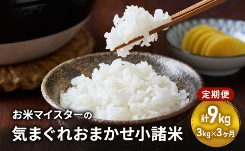 お米マイスターおすすめ小諸米 精米 3kg 3ヶ月定期便 信州 長野 ごはん ご飯 コメ コシヒカリ あきたこまち つきあかり 風さやか ひとめぼれ ゆうだい21