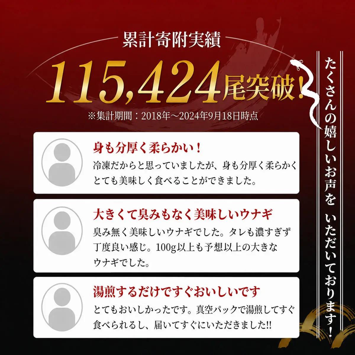うなぎ 蒲焼き 2尾 200g以上 浜名湖産 国産 うなぎ