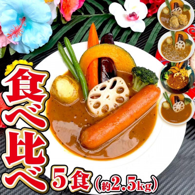 【食べ比べ】スープカレー食べ比べ5食セット(5～10人前)ジャングルスープカレー【配送不可地域：離島】