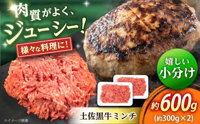 
            高知 土佐黒牛ミンチ 約600g（約300g×2パック） / 高知県 土佐 和牛 お肉 牛肉 牛 ミンチ 贈答 ギフト 贅沢 　【焼肉寛十郎】 [ATDO006]
          