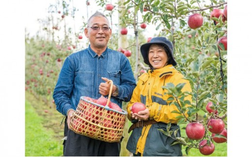 王林 家庭用 訳あり 3kg　果物類 林檎 リンゴ りんご フルーツ くだもの 青森県 板柳町