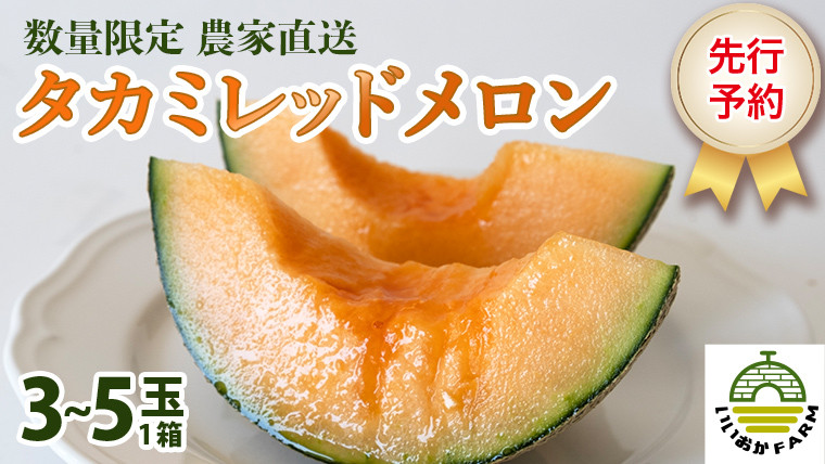 【6月上旬以降発送】【先行予約】令和５年産 数量限定 農家直送 ♪ タカミレッドメロン 1箱（3玉～5玉入り） 飯岡 メロン 貴味 タカミ レッド 赤肉 スイーツパラダイス スイパラ [CG001ya]