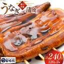 【ふるさと納税】うなぎ 国産 炭火焼 肉厚 蒲焼 120g ×2尾 計240g [村田商店 静岡県 吉田町 22424191] 鰻 ウナギ 炭火焼き 炭火 蒲焼き 冷凍 真空パック うなぎのむらた