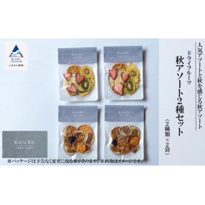 ふるさと納税 小松市 ドライフルーツ Kaju Re:ドライフルーツ アソート 秋アソート2種セット 旬な果物