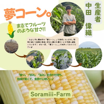 【2026年度先行受付】愛知県みよし市産 朝採り「夢コーン。」Lサイズ20本セット 数量限定【配送不可地域：離島】