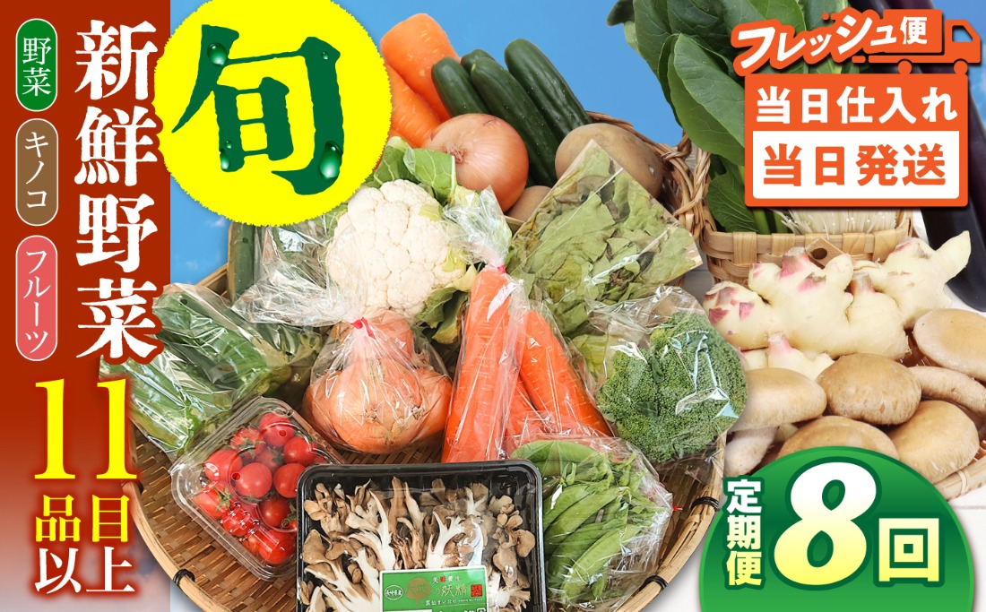 【毎月コース】野菜 キノコ 果物 11品目 詰め合わせ 8回 定期便  / 南島原市 / 吉岡青果[SCZ034]