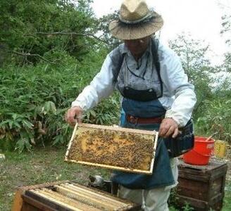 熊野古道 峠の蜂蜜2本セット【SW98】