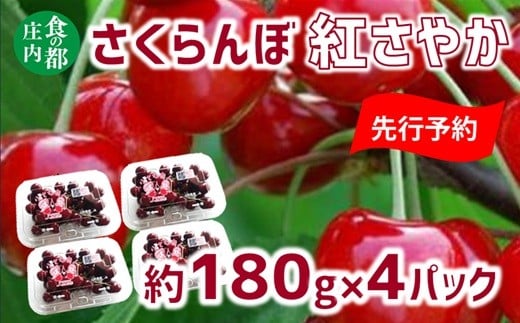 【2026年産 先行予約】食の都庄内 さくらんぼ紅さやか 約180g×4パック※2026年6月上旬頃より発送開始予定