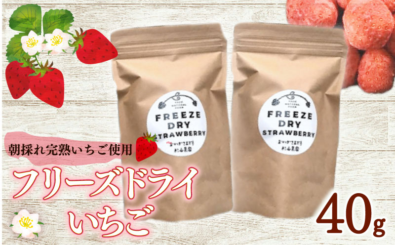 おかげさまです杉山農園のフリーズドライイチゴ　40g 朝摘み ドライ いちご ドライフルーツ 果物 いちご イチゴ 苺 フルーツ くだもの スイーツ デザート ストロベリー おやつ 完熟 直送 ギフト 家庭用 贈答用 贈答 ギフト 贈り物 甘い ブランド ジャム スムージー アレンジ フルーツ 健康 ビタミン 農家直送 朝採れ ベリー 産地直送 国産 おすすめ カロリー 乾燥 静岡県 牧之原市
