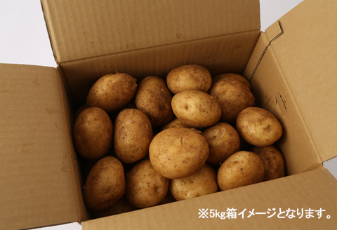 徳之島 天城町産 赤土ばれいしょ 新じゃが 春一番 5kg L～2L 混合サイズ ジャガイモ じゃがいも バレイショ