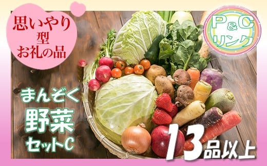 まんぞく野菜セットC 13品 以上 季節 旬 野菜 詰め合せ 国産 季節 旬 おまかせ 産地直送 春野菜 夏野菜 秋野菜 きのこ 葉物 果物 果菜 根菜 冷蔵 野菜室 ダイエット 食 栄養食 加工品 カット野菜 岩手県産 北上産 季節限定 山菜 ブロッコリー たまねぎ さつまいも とうもろこし サラダ トマト しいたけ アスパラガス 送料無料 岩手県 北上市 E0228