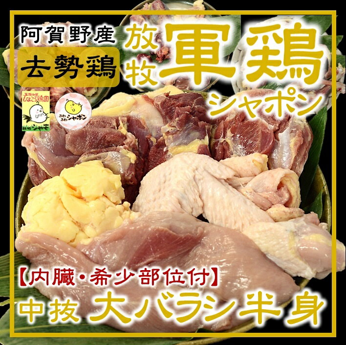 【ふるさと納税】軍鶏シャポン 大バラシ 半身セット 内臓・希少部位付 ひよころ鶏園 鶏肉 ハツ レバー マメ 砂肝 腺胃 完全去勢鶏 完全放牧 専用飼料 柔らか 甘み 弾力 絶品 国産 新潟県 阿賀野市