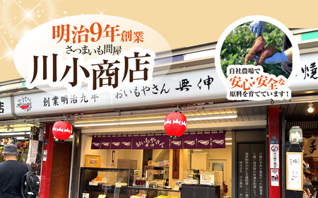 【2025年10月1日より順次発送！】おいもやさんお楽しみセット 香取市産さつまいも使用 大学芋 と スイートポテトの詰め合わせ KTRBD001 / スイーツ さつまいも サツマイモ 芋 専門店 お