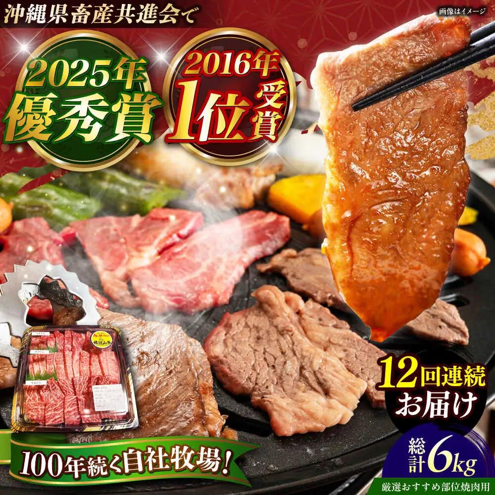  牛肉 焼肉用 500g 【全12回定期便】和牛 佐渡山牛 BCBC013