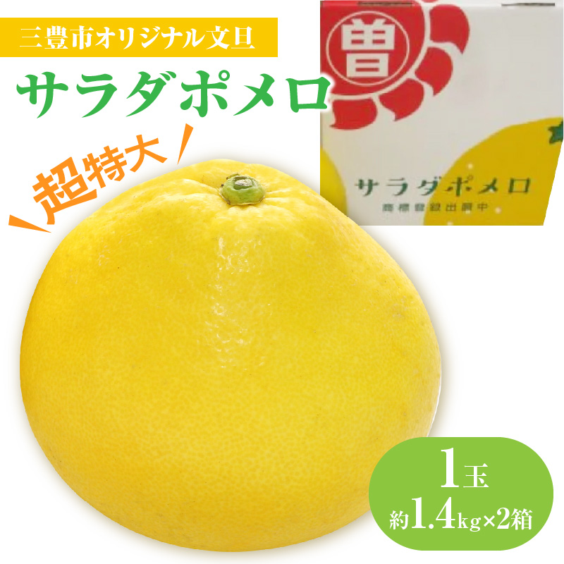 M02-0086_【ふるさと納税】【配送不可地域：北海道・沖縄県・離島】 みかん 文旦 1玉 約1.4kg以上 × 2箱 サラダポメロ 超特大 人の顔ほどの大きさ 皮が薄い 剥きやすい 糖度 高い 酸