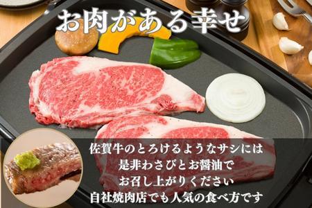 《A5～A4等級》 佐賀牛 ロースステーキ(サーロイン・リブロース) 約250g×2枚(合計約500g) 約3～4人前 ステーキ