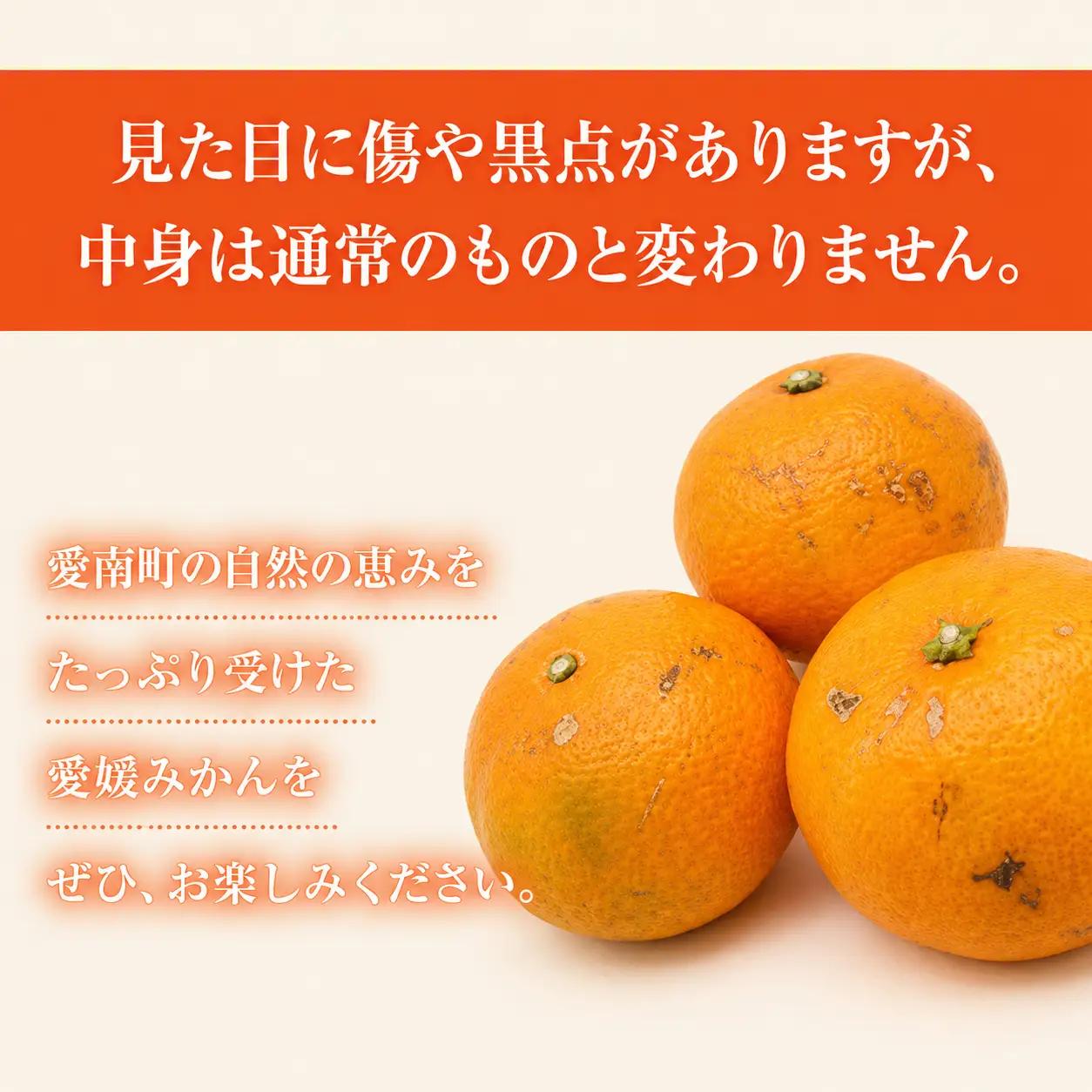 【愛媛みかん】 訳あり 5kg みかん