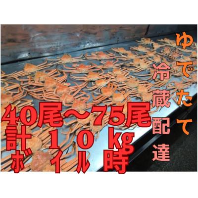 ふるさと納税 白老町 ゆでたて冷蔵便 40尾から75尾で10kg 訳あり オオズワイガニ(オス・メスおまかせ)