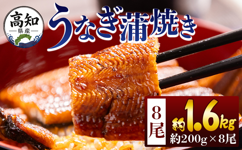 高知県産蒲焼きうなぎ ２００ｇ ８尾 計１６００ｇ fb-0164