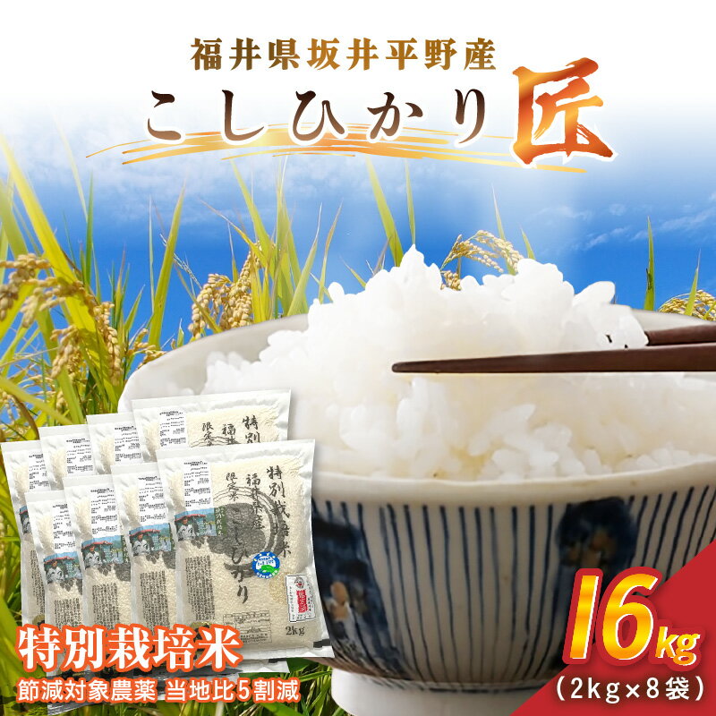 【ふるさと納税】令和7年産 特別栽培米 コシヒカリ匠 16kg（2kg×8袋）節減対象農薬当地比5割減【選べる精米方法：白米 / 玄米】【米 コメ お米 コシヒカリふるさと納税米 ブランド米 国産】