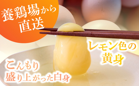 P385-20 【月2回定期便】山もりたまご20個 月2回(2週に1回) 12ヶ月